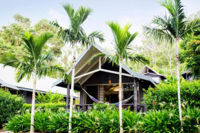 Отель Palm Bungalows  Гамильтон Айленд